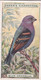 20 Blue Grosbeak  - Foreign Birds 1924 - Ogdens  Cigarette Card - Original - Wildlife - Ogden's