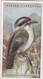 28 Laughing Kingfisher - Foreign Birds 1924 - Ogdens  Cigarette Card - Original - Wildlife - Ogden's