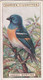 6 Lazuli Bunting - Foreign Birds 1924 - Ogdens  Cigarette Card - Original - Wildlife - Ogden's