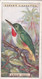 44 Green Tody - Foreign Birds 1924 - Ogdens  Cigarette Card - Original - Wildlife - Ogden's