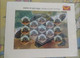 India 2008 Aldabra Giant Tortoise , Fauna Presentation Pack MNH 1 Sheet Inside MNH (**) Inde Indien - Ongebruikt