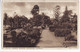 Botanic Gardens, Brisbane Queensland Australia C1910s-20s Vintage Postcard - Brisbane