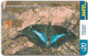 Uruguay - Antel - Archeoprepona Demophon Butterfly - TC 242a - 08.2002, 200.000ex, Used - Uruguay