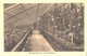 Germany:Berlin, Dahlem Royal Botanic Garden, Cactus House, Pre 1940 - Steglitz