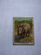 Chile.rhino.cig Card.no Postcard Rare Yungay Brand.1915.animal Series.better Cond.thick Paper 5*6.5 Cmt.. - Rhinozeros