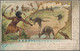 Delcampe - Australien - Besonderheiten: 1900/1940 Ca., PICTURE POSTCARDS, Remarkable Collection With Ca.50 Pict - Other & Unclassified