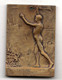 Congo Belge Hommage De La Jeunesse Bruxelloise Par Paul Wissant 1909, Wissant, 69 X 48 Mm, Bronze - Autres & Non Classés