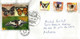 Butterflies / Papillons 2021 Lettre Danemark Adressée Andorra, Avec Timbres à Date Arrivée Des Deux Administrations Post - Briefe U. Dokumente