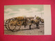 Cuba Post Card Mules Mulas  The Volanta A Confortable Native Vehicle Attelage Joli Plan  Sans Editeur Dos Scanné - Other & Unclassified