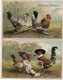 Série N° 371, 6 Cartes Poules Habillés " Joyeuses Pâques" - Animaux Habillés