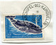 T. A. A. F. N°22 GRANDE BALEINE BLEUE OBL. ARCHIPEL-DES-KERGUELEN 31-3-1969 - Gebruikt