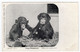 ZOOLOGICAL SOCIETY OF LONDON - Young Chimpanzees - Photo. Dando - Oiseaux