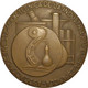 ESPAÑA. MEDALLA F.N.M.T. ASOCIACION DE INVESTIGACION DE LA INDUSTRIA PAPELERA ESPAÑOLA. 1.973. ESPAGNE. SPAIN MEDAL - Professionali/Di Società