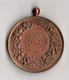 Médaille Léopold II - Maatschappij De Boomteeltkring Wetteren 1898 Par H.F.T. 51 Mm, Bronze - Autres & Non Classés