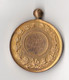 Médaille Léopold II – De Vreugdegalm In Huldiging Van Het Vaandel 1898 , 48 Mm Bronze Doré - Autres & Non Classés