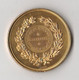 Médaille Léopold II – Bruxelles Concours D'hygiène 1896 Par J. Fisch & Cie, 55 Mm, Bronze Doré - Autres & Non Classés