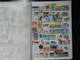 Delcampe - Belgium : +/- 500 Stamps, All Commems/large, Good Value !!! - Colecciones (en álbumes)