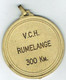 Luxembourg Médaille V.C.H.RUMELANGE.300Km. - Other & Unclassified