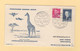 Danemark - 1953 - 1er Vol Copenhague Afrique Du Sud - Girafe - Airmail