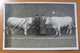 Carte Photo- Fotokaart-RPPC.Des Mastodontes Exceptionnels De Bœufs Ou De Taureaux. Race Probablement Française. - Koeien