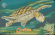 British Virgin Islands - BVI-19C - Wildlife - Turtle - E.T. - 19CBVC US$10 - Antilles (Autres)