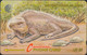 British Virgin Islands - BVI-22B - Wildlife - Iguana - E.T. - 22CBVB US$5 - Antille (Altri)