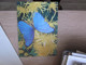 3 D Postcards Butterflies - Papillons