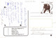 EGYPT - 2 PICTURE POSTCARDS HURGHADA > BERLIN Mi #1234 / PR82 - Briefe U. Dokumente