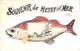 Heist - Heyst - Souvenir De (poisson 1908 Phototypie Marco Marcovici) - Heist