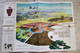 BROCHURE MAPPA XVII GIOCHI OLIMPICI ROMA ANNO 1960 ILLUSTRATORE BERANN - Habillement, Souvenirs & Autres