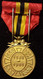 Médaille Commémorative Du Règne/Medaille Ter Herdenking Van Het Bewind - Léopold II - En Bronze Doré - 33 Mm De Diamètre - Belgium