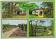 Zuidlaren - Bos En Heide, Boerderij, Camping, Caravans  - (Nederland / Holland) - Nr. 762 - Zuidlaren