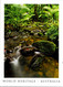 (4 A 14) (card Size Is 12 X 17 Cm) Australia - UNESCO World Heritage - Mossman QLD - Far North Queensland