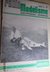 AEROJ20 Revue RADIO MOEDELISME N°11 De 11/1967 Avec Plan En Pages Centrales, En Très Bon état Général - Modelli Dinamici (radiocomandati)