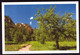 AK 001557 USA - Arizona - Red Rock State Park Bei Sedona - Sedona