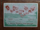 REPUBBLICA - Marcofilia - 1° Mostra Filatelica Pallanza 1956 + Spese Postali - FDC