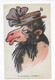 Belle Tête De Chameau !!!! Carte Illustrateur, 1925 - Altri & Non Classificati