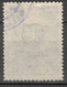 POLEN POLOGNE POLAND 1918 MI 19 USED - Gebraucht