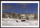 AK 001958 USA - Wyoming - Yellowstone National Park - Bisons - Yellowstone