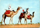 (4 A 29) Sahara Espagnol - Spanish Sahara (posted To France) Camels / Chameaux - Sahara Occidental