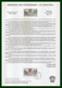 Delcampe - TAAF 12 Notices FDC 1.1. 2001 Crozet Bloc N° 6 + N° 287 à 297 TB 12 SCANS (à Voir ! Cote XX) - Collections, Lots & Series