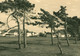 DDR AK Um 1966, Neuendorf Auf Der Ostsee Insel Hiddensee, Privat Häuser, Hotels ? - Hiddensee