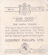 6 Cairn Terrier Puppy   - Our Dogs 1939  -  Phillips Cigarette Card - Original - Pets - Animals - 5x6cm - Phillips / BDV