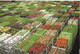 CP AALSMEER -world Flower Centre - Aalsmeer