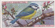 19 Blue Tit -   British Birds 1915 - Wills Cigarette Card - Antique - Wildlife - Wills