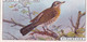 31 Fieldear -   British Birds 1915 - Wills Cigarette Card - Antique - Wildlife - Wills