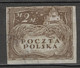 POLEN POLOGNE POLAND 1919 Mi 98  USED - Used Stamps