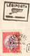 BRIDGE Tisza Shepherd AERO SZEGED Airplane Biplane Hungary Icarus 1925 Par Avion Air Mail LABEL CINDERELLA VIGNETTE - Covers & Documents