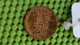 Medaille : Nederland -  100 Jaar Nederlandse Onafhankelijkheid 1813-1913 - Royal/Of Nobility