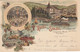 Suisse - Hôtel - Küsnacht - Hôtel Du Soleil - Circulée 08/10/1900 - Litho - Küsnacht